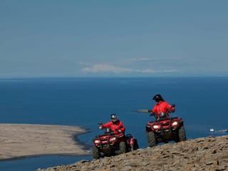 Reykjavík Whales & ATV, photo 10