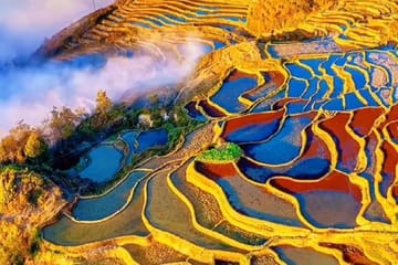 2-Day Photography Tour of Yuanyang Rice Terraces Sunrises and Sunsets