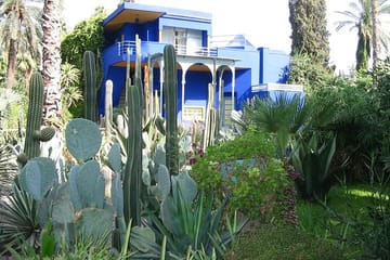 Majorelle Garden Experience: Ticket And Hassle-Free Transfers