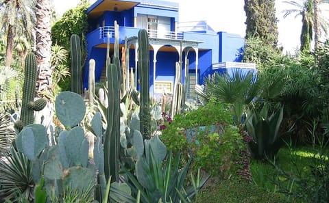 Majorelle Garden Tour with Private Transportation in Marrakech