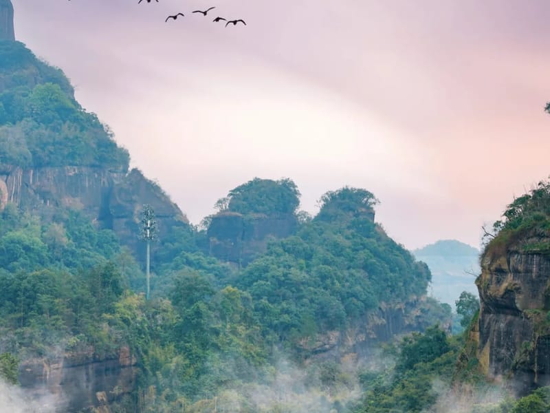 Guangzhou: Huangpu Tea Village & Waterfall Private Day Trip