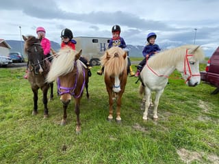 Horse Riding Tour and Explore Scenery in Gásir Akureyri, photo 7