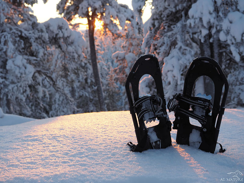 AT NATURE snowshoes and sunset.
