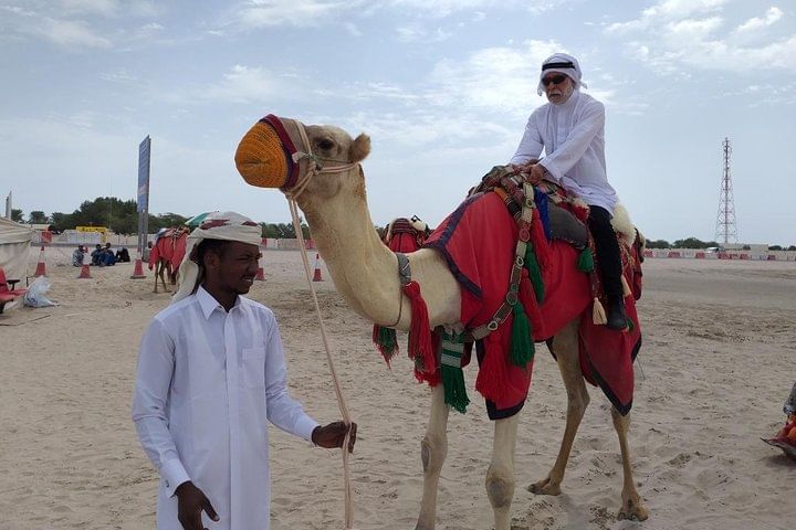Qatar Gold Dune Safari, Dune Bashing,Camel Ride,Sand Boarding,Inland Sea Desert
