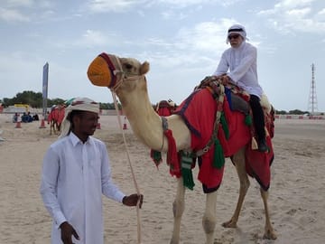 Qatar desert safari By Falcon Tours Doha-Qatar Camel Ride