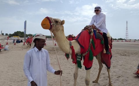 Doha Desert Adventure: Dune Bashing and Camel Riding Tour