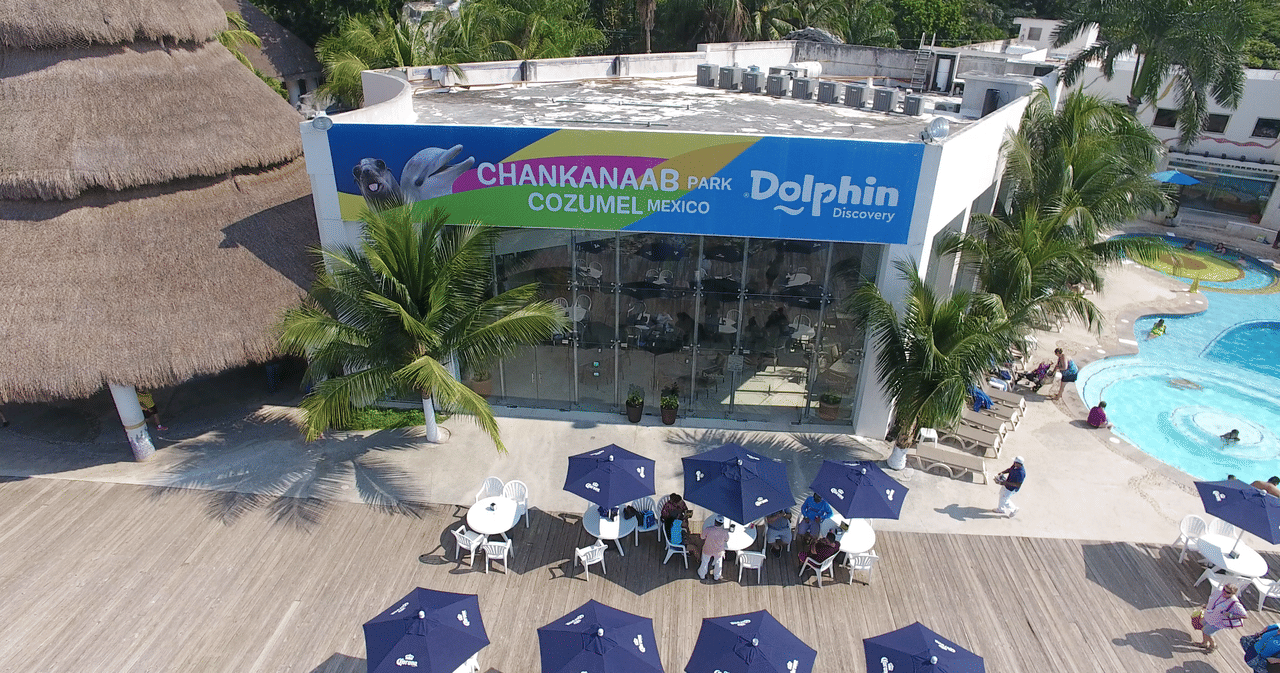 Dolphin Encounter en Cozumel 8