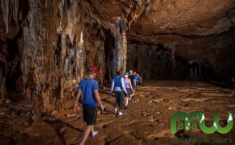Explore Actun Tunichil Muknal Cave from Placencia, Belize