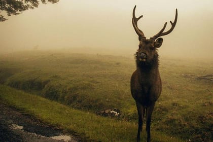 Spiritual Freedom | 7 Days