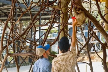 All inclusive Glass Bottom boat Wild life encounter and Beach