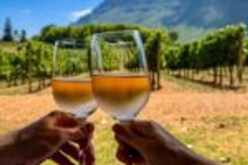 Kefalonia Food and Wine Tour with Honey and Olive Oil Tasting