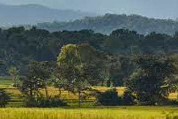 Wasgamuwa Sfari Tour – 03 Days