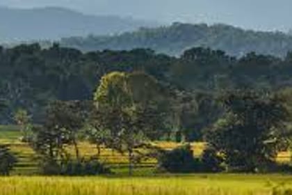 Wasgamuwa Sfari Tour – 03 Days