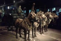 Private Day Tour to Terra Cottar Warriors from Guangzhou by Air 4