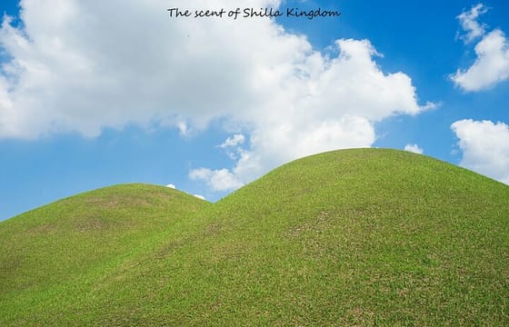 Gyeongju Private Tour with hidden gem by local tour guide