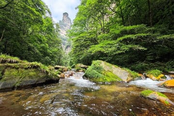 Zhangjiajie National Park Day Trip with Guided Tour