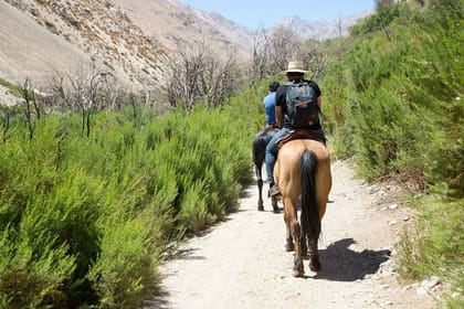 Horseback riding and wines from Santiago