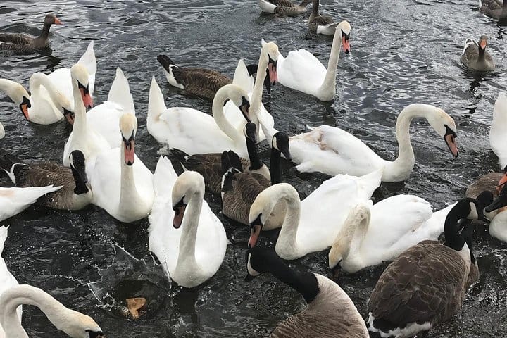 Full-Day Private Fun Cultural Guided Tour of London for Kids 9