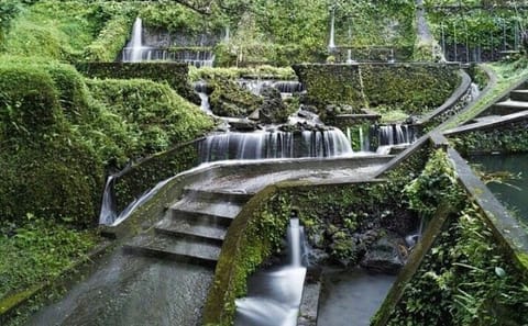 Private Guided Cultural Tour of Ubud and Surrounding Areas