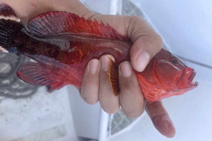 Private Tour :  3 Days Tour Package with snorkeling