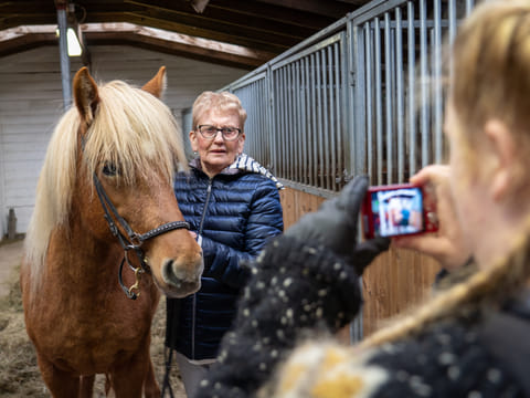 Date the Icelandic Horse, photo 5