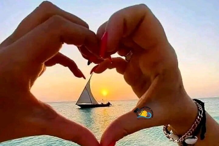 Zanzibar Mnemba Island Dolphins, Jozani Forest and Sea Turtles