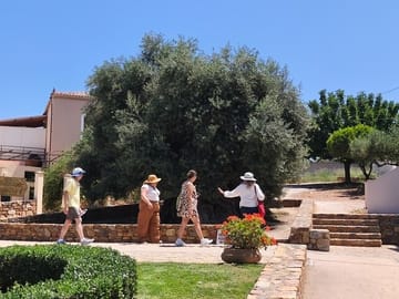 Chania Old Town and Olive Oil Experience Tour
