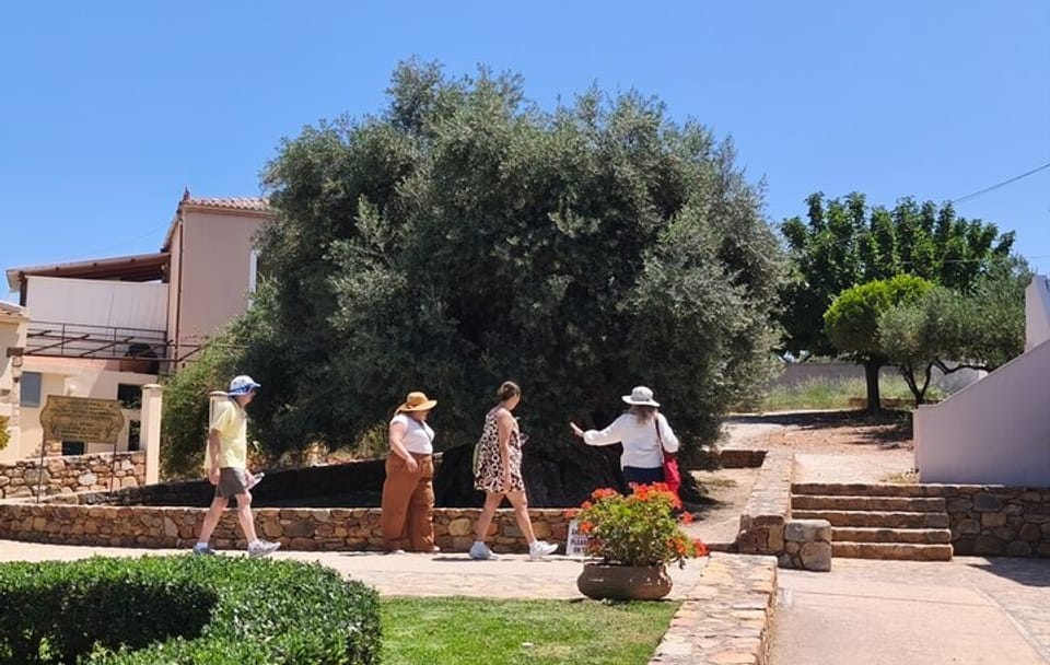 Chania Old Town and Olive Oil Experience Tour