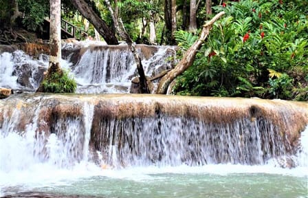 Dunn's River Falls and Ocho Rios Shopping Tour from Lucea