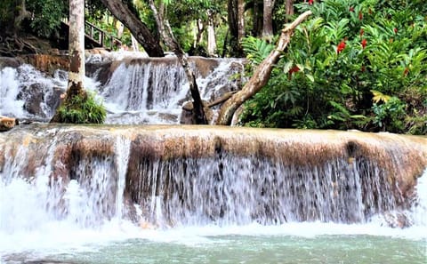 Dunn's River Falls and Ocho Rios Shopping Tour from Lucea