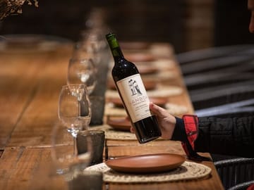 Small-Group Wine Tasting Tour at Bodega Gamboa in Campana