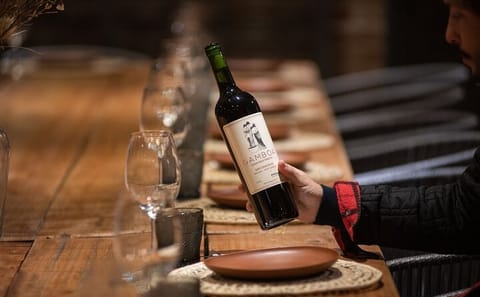 Small-Group Wine Tasting Tour at Bodega Gamboa in Campana