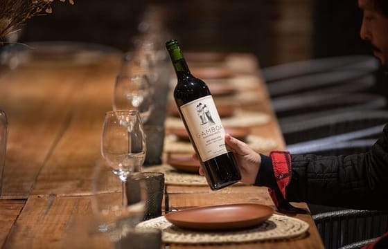 Bodega Gamboa Small-Group Wine Tasting Tour with Lunch