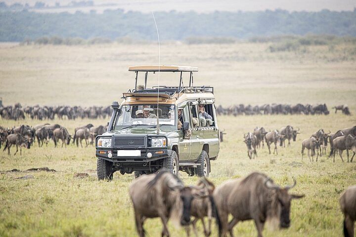 Masai Mara, Lake Nakuru & Naivasha Wildlife Safari by 4×4 Jeep