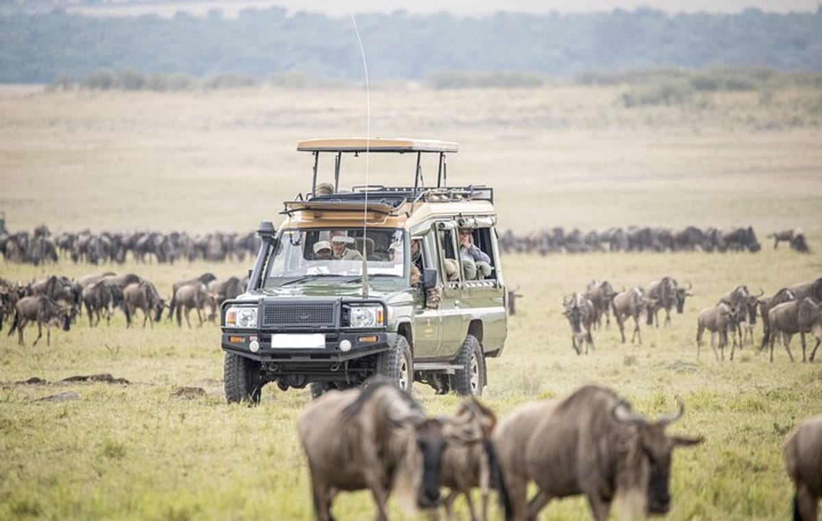 5 Days Masai Mara with Lake Nakuru and Naivasha Tour by 4×4 Jeep