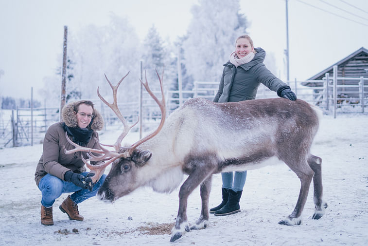 Reindeer Farm Visit With Photos - Visit Rovaniemi