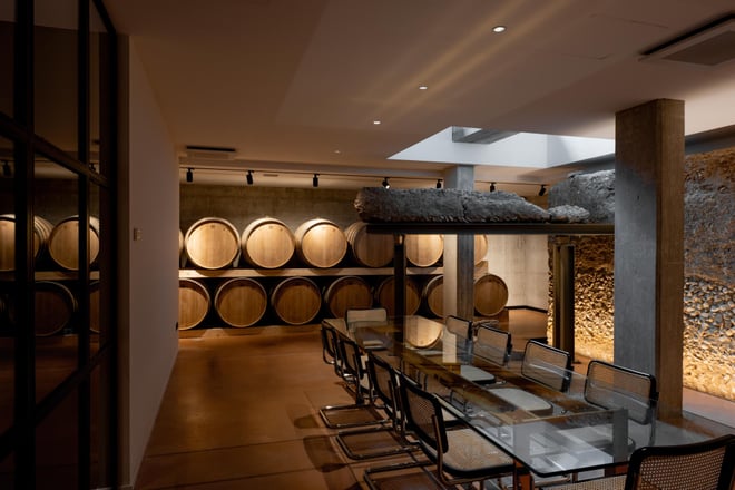 Sensory Delights: Wine, Cuisine, and Relaxation at Feudo Antico winery - Photo 5