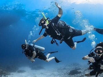 Group diving enjoying the clear waters