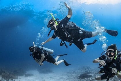 2 Tank Roatan Fun Dive, Boat Sightseeing Tour, including ground transportation