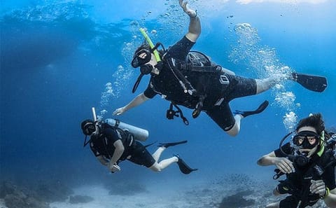 2 Tank Diving and Boat Tour in Coxen Hole, Roatan