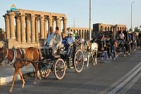 Delight in a 3-Hour Luxor Horse Carriage Tour 3