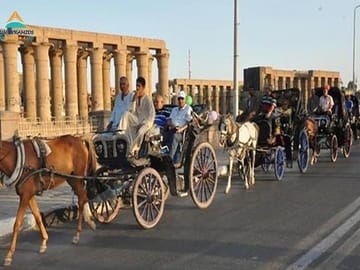 Explore Luxor's Historical Sights on a 3-Hour Horse Carriage Tour
