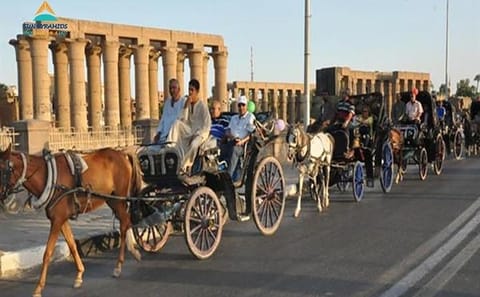 Explore Luxor's Historical Sights on a 3-Hour Horse Carriage Tour