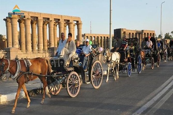 Delight in a 3-Hour Luxor Horse Carriage Tour 3