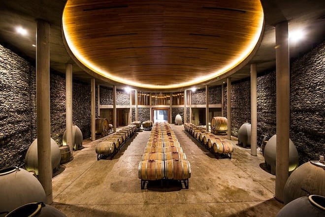 Small-Group Tour at Matetic Vineyard in Rosario Valley from Santiago photo 6