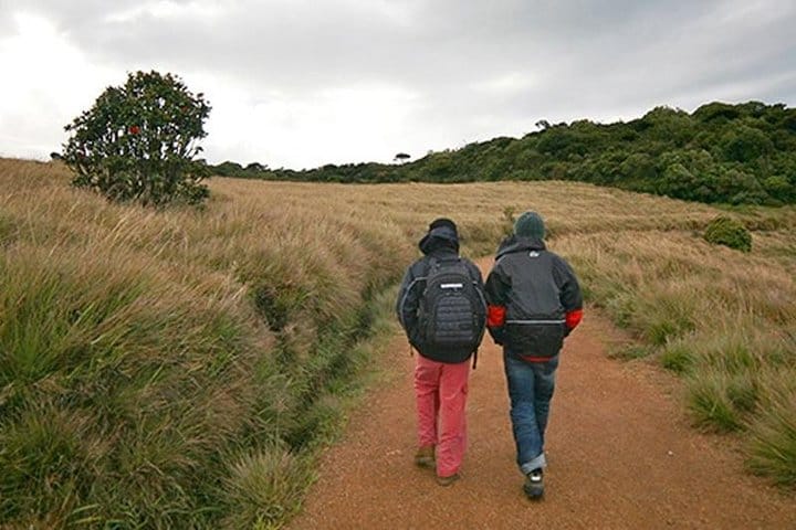 Para Motoring with Private Return Transfers