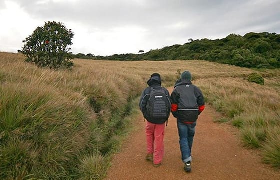 Private 2 Days Trip to Misty Mountains Tour