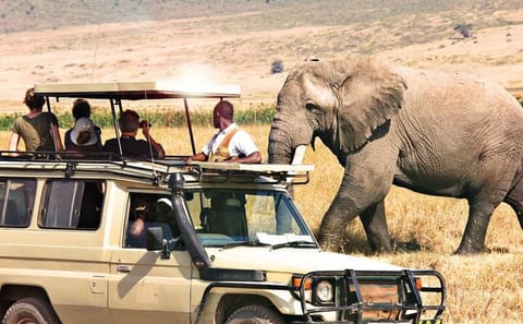 7-Day Adventure Tour of Kenya's National Parks