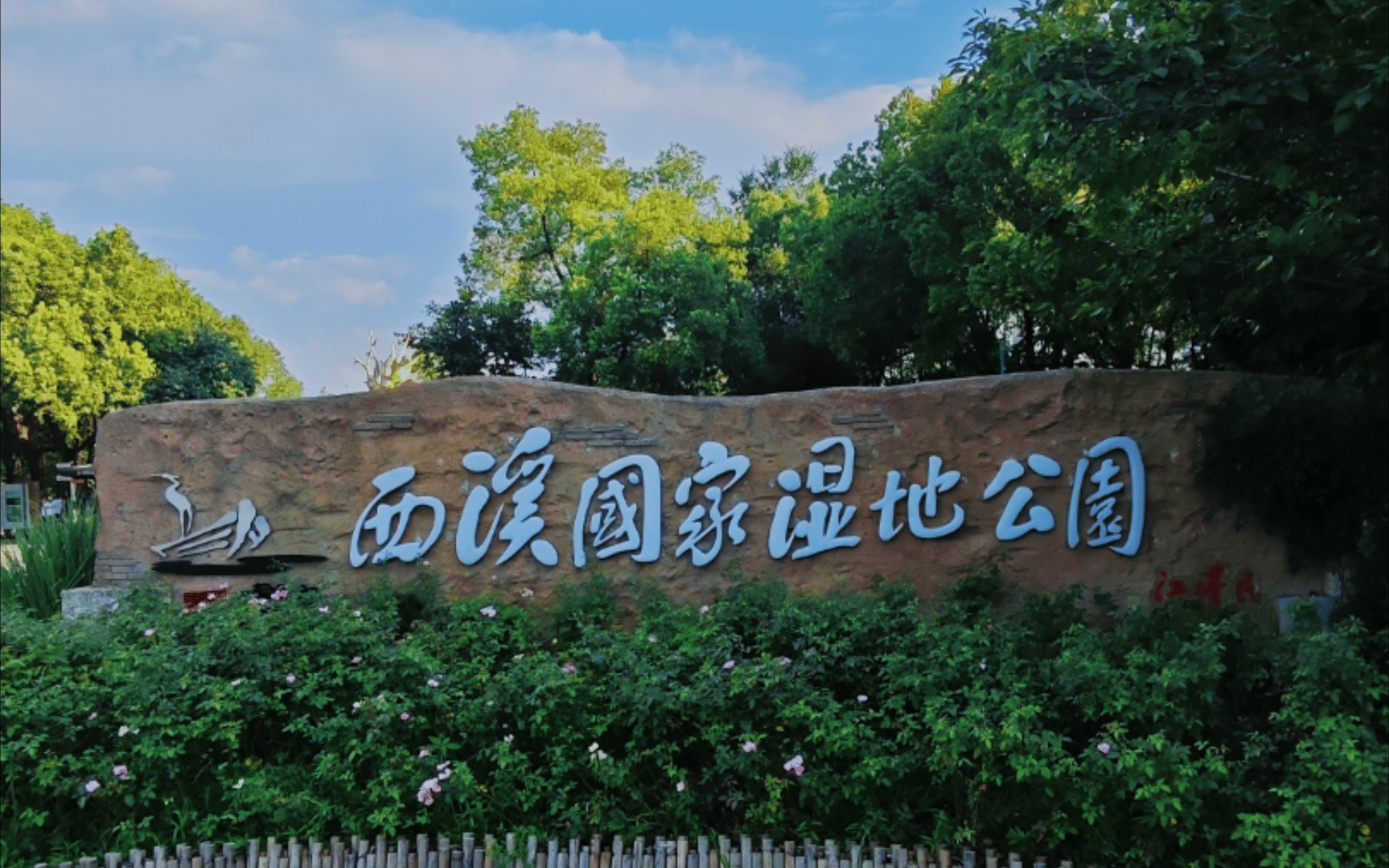 Glide Through Hangzhou's Green Heart: Xixi National Wetland Park