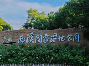 Chengdu Mahjong Experience Multilingual Guide